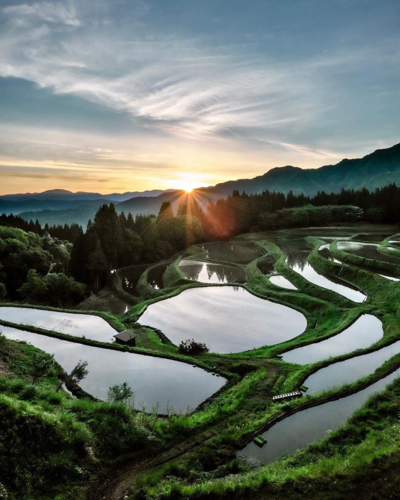 Visit Japan: Every land has a story to tell
The Ueyama Rice Terraces in Hyogo Prefecture are … Every land has a story to tell
The Ueyama Rice Terraces in Hyogo Prefecture are ...
