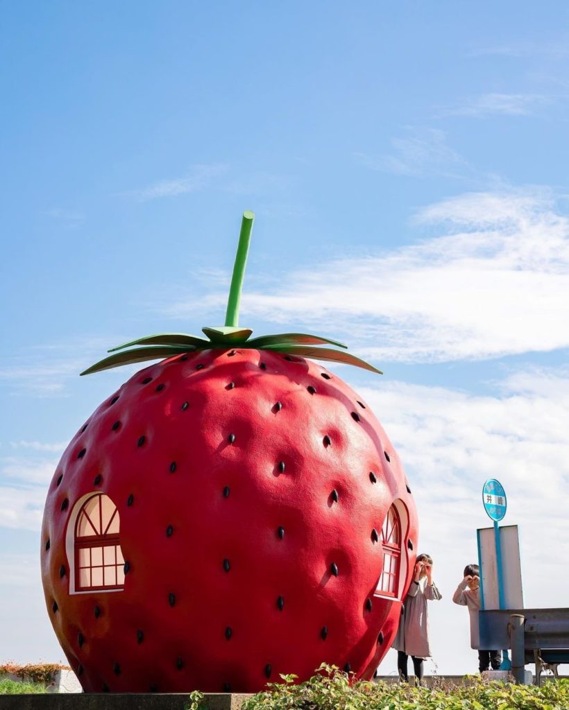 Squeeze the day with a trip to the coastal town of Konagai, in Nagasaki Prefectu...
