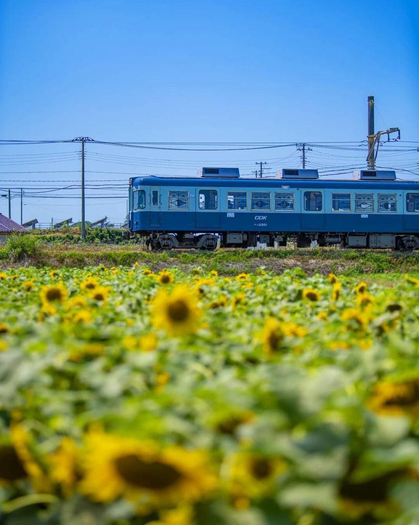 Japan Travel: The slow and simple life is often just what the doctor ordered!
: @ko_uske
—… The slow and simple life is often just what the doctor ordered!
: @ko_uske
---...