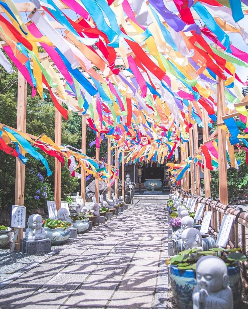 Shizuoka's Koshoji Temple is filled with color at the moment! There are various ...