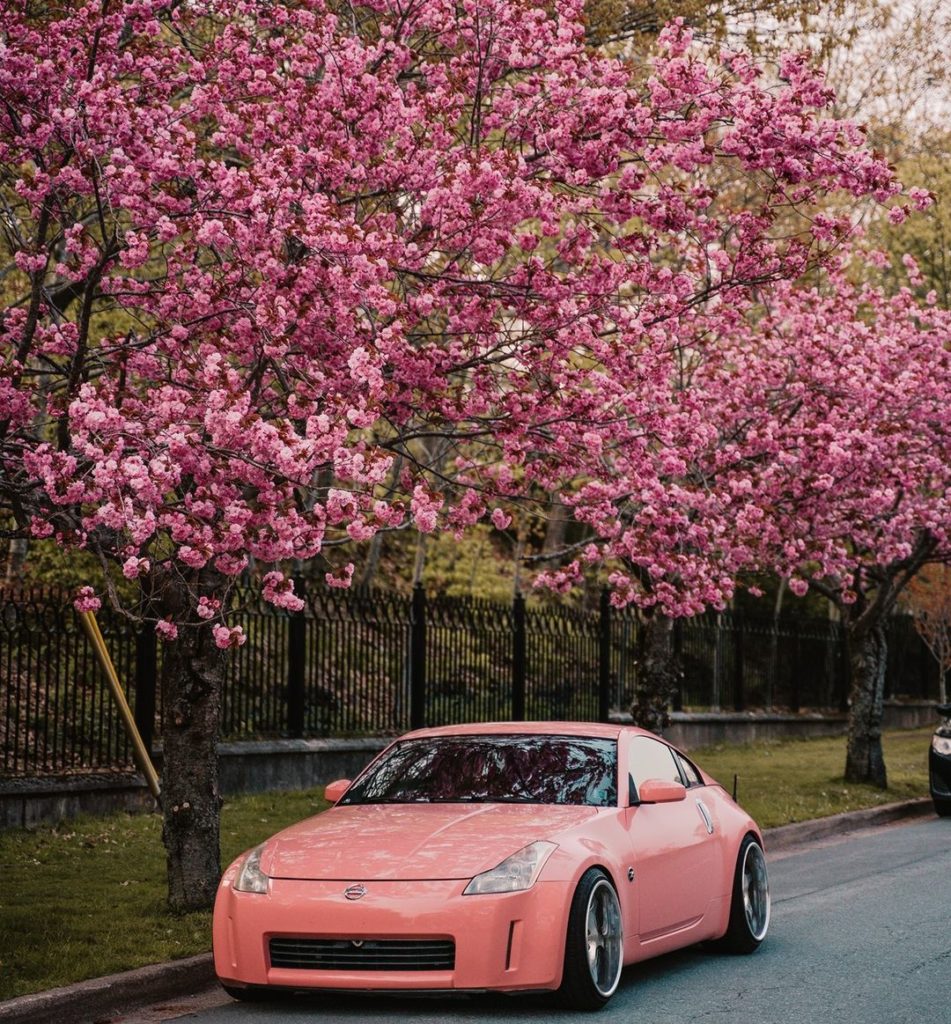 Take it all in! #Nissan #Nissan350Z
: @neeo.pngee
 @shakhiiboy​...