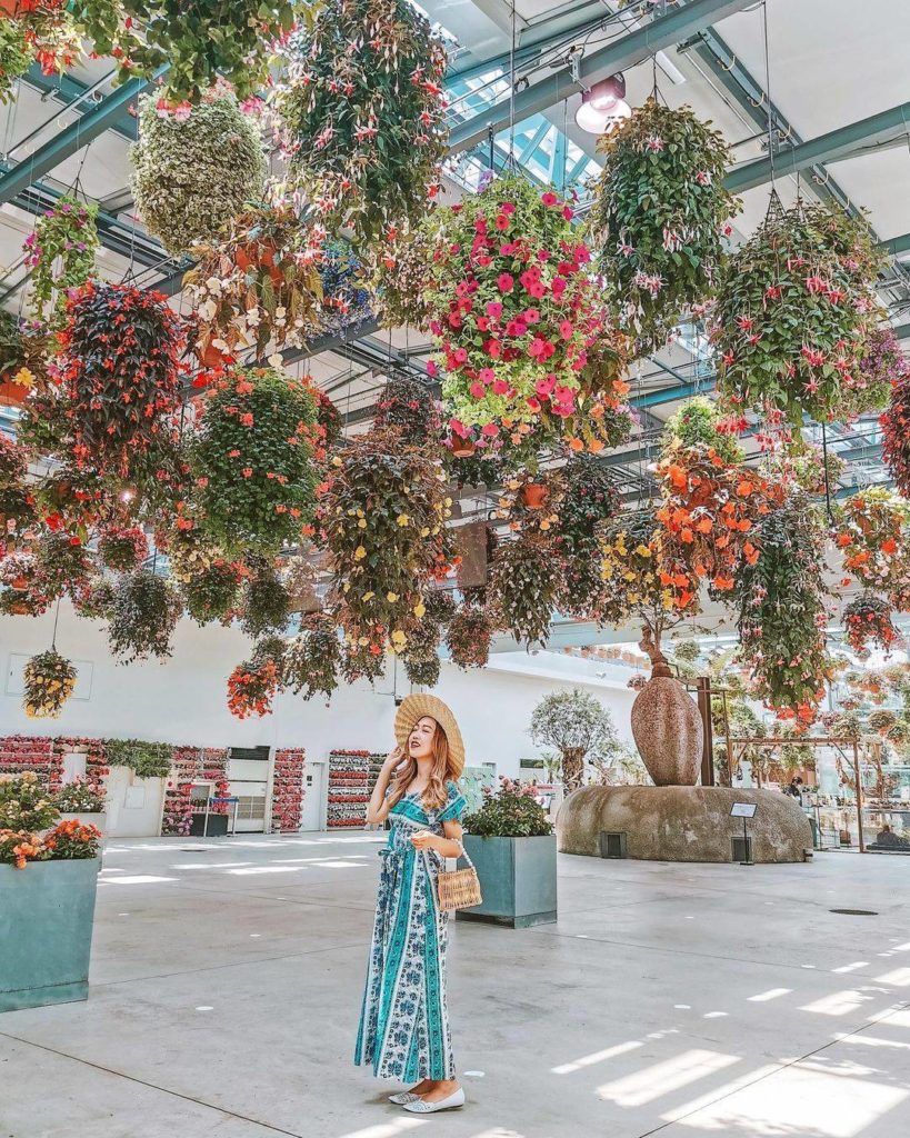 Japan Travel: If you’re a fan of all things floral, the Hana Biyori Botanical Garden is a must… If you're a fan of all things floral, the Hana Biyori Botanical Garden is a must...