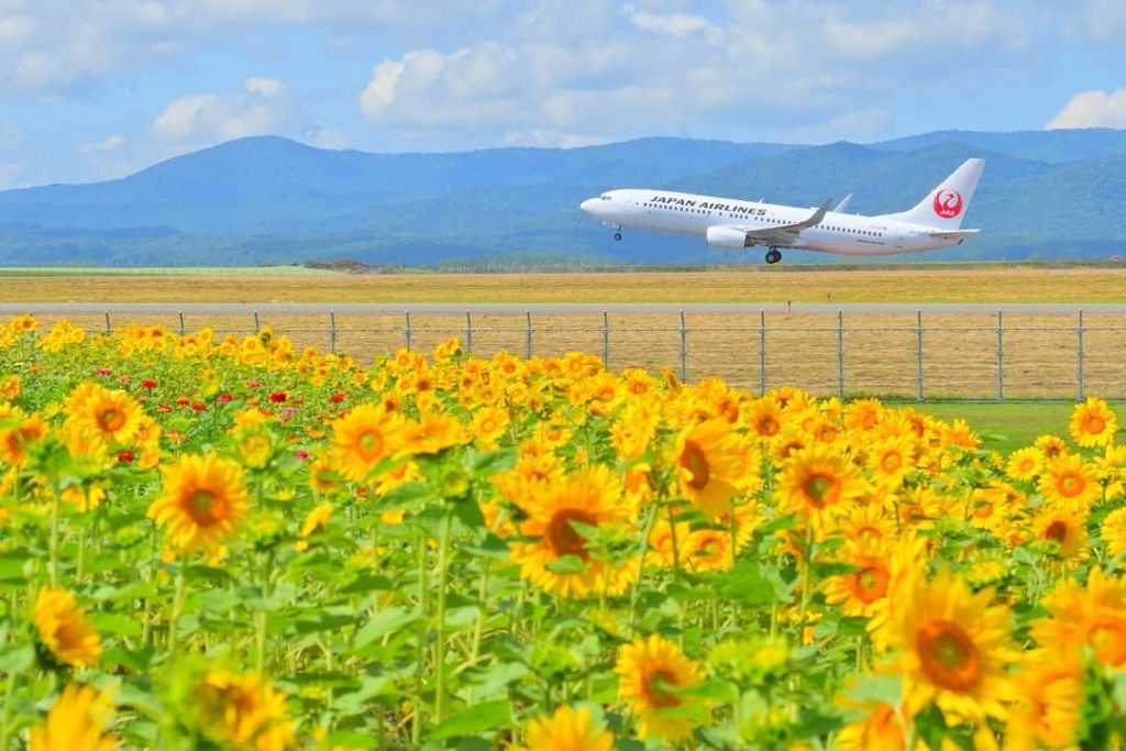 .
A field of sunflowers farewelling Boeing737.
#FreshAirJuly  一面のヒマワリが #ボーイング737...