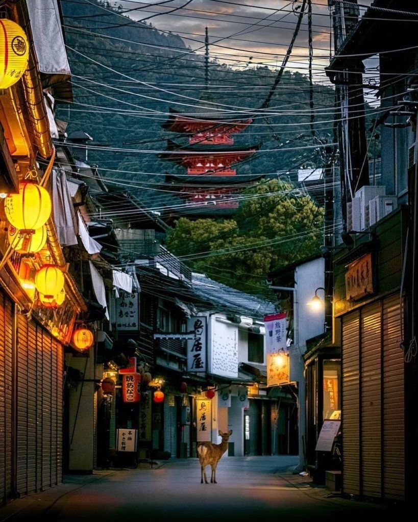 A World Heritage site, Itsukushima (aka Miyajima) is famous for its historic Its...