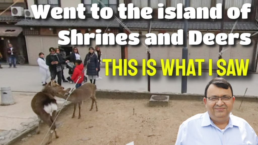 Went to the island of shrines and deer. This is what I saw. Japan Ep. 9, Hiroshima Part 4 Went to the island of shrines and deer. This is what I saw. Japan Ep. 9, Hiroshima Part 4