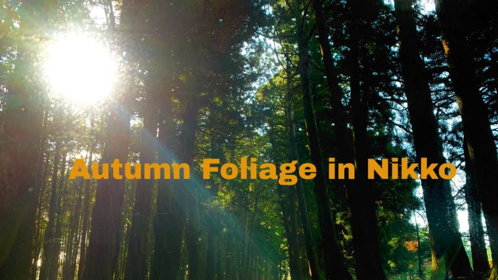 Driving Through Nikko Japan in Autumn | Sheryl Gim