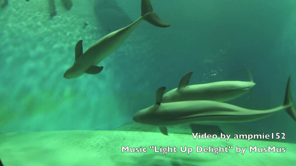 Chugoku Trip Part1/3: Shimonoseki Kaikyokan