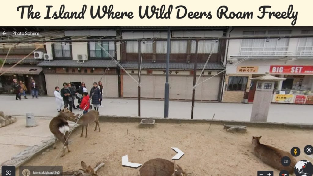 #Shorts Japan Island, where wild deer roam freely on the streets and towns – Highlights of Ep 9 #Shorts Japan Island, where wild deer roam freely on the streets and towns - Highlights of Ep 9