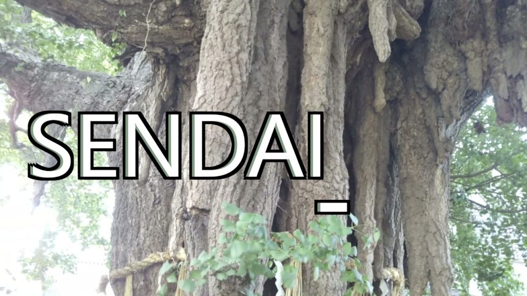 SENDAI, JAPAN SENDAI, JAPAN