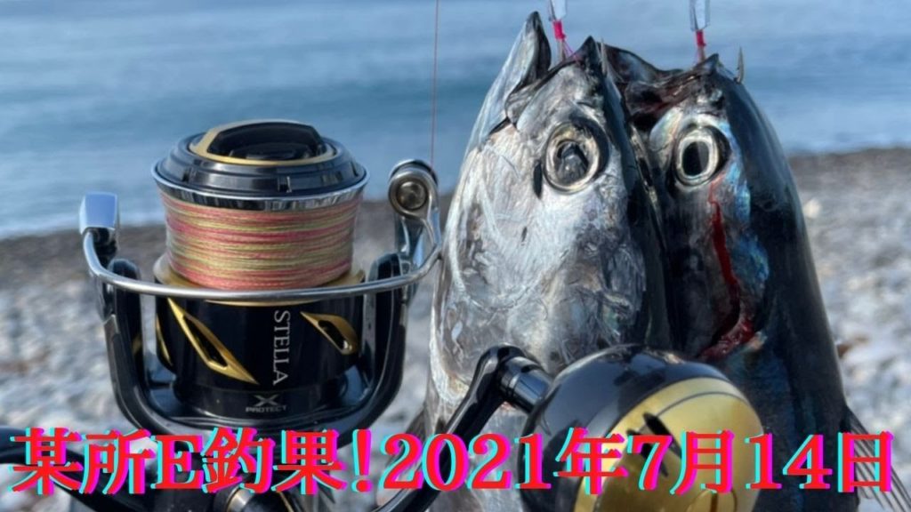 カツオ祭り！ゲキアツ！ボイルボコボコ　サーフトローリング最強！シオに青物最高の1日　某所E釣果！2021年7月14日　サーフ