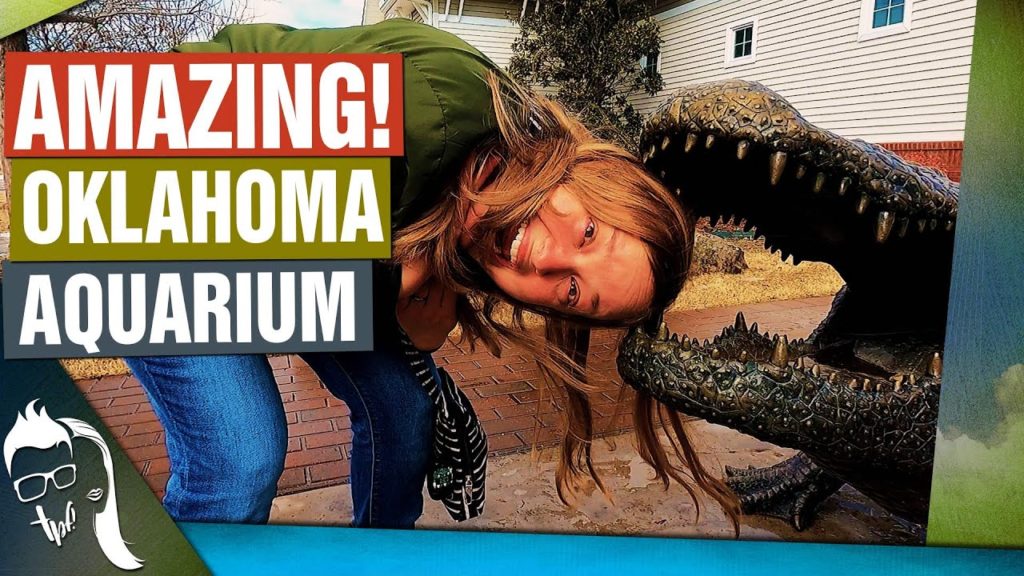 AMAZING Oklahoma Aquarium | FUN Tour