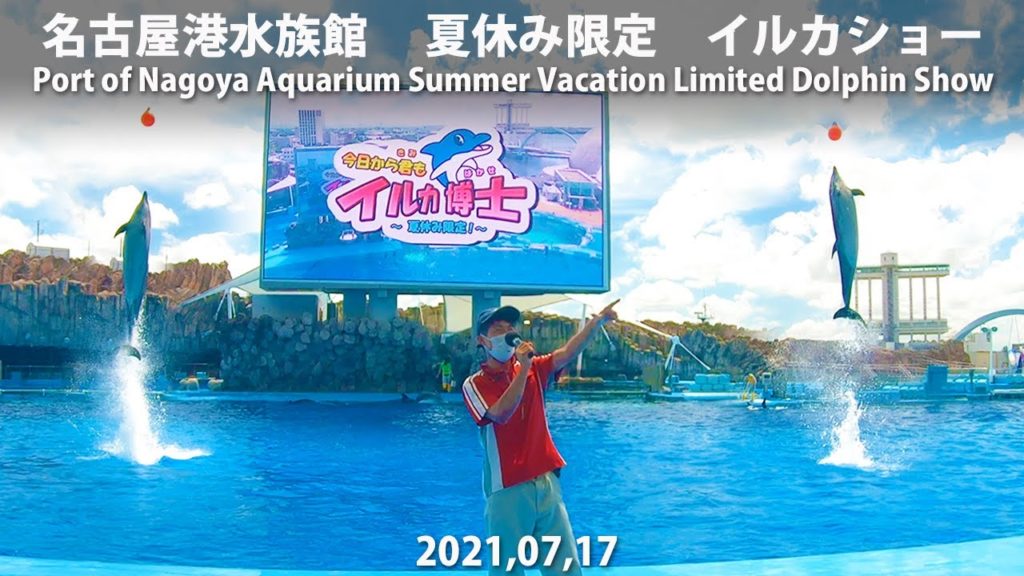 夏休み限定 イルカショー 「今日から君もイルカ博士！」| 名古屋港水族館 | 2021,07,17