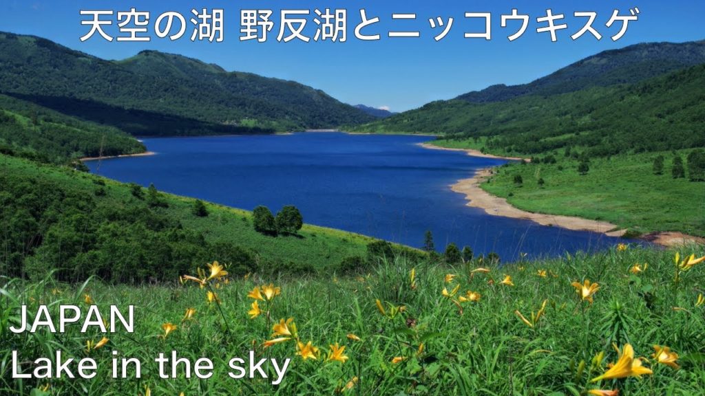 ★【Gunma, JAPAN】天空の湖 野反湖と満開のニッコウキスゲ　湖畔ハイキングと登山　群馬観光の旅　Lake Nozori with alpines　湖とトレッキング　JAPAN TRAVEL