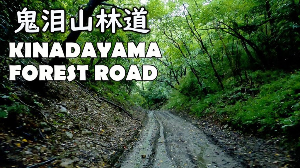 Japan 4K Forest Road in Boso Peninsula "Kinadayama-rindo (鬼泪山林道)" Driving in Rain | Shinrinyoku Japan 4K Forest Road in Boso Peninsula "Kinadayama-rindo (鬼泪山林道)" Driving in Rain | Shinrinyoku