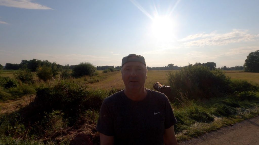 Olympus M.Zuiko Digital ED 4,5/150-400mm TC1.25x IS PRO Eisvogel Dummy auf über 400m Fotografieren.