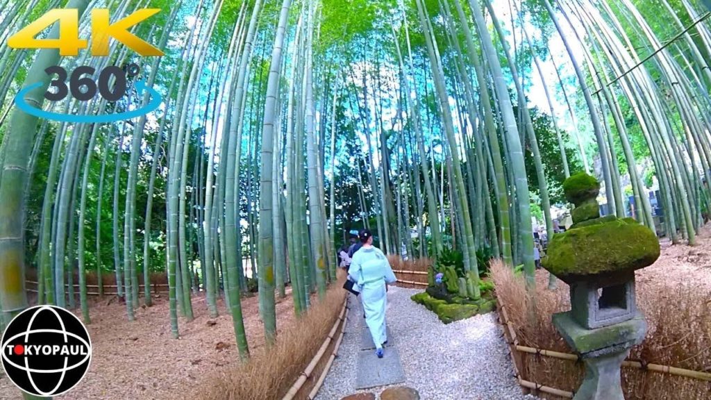 Tokyo Day Trip Japanese Bamboo Forest, Hokokuji Temple Kamakura (報国寺)【4K 360°】🌐 Tokyo Day Trip Japanese Bamboo Forest, Hokokuji Temple Kamakura (報国寺)【4K 360°】🌐