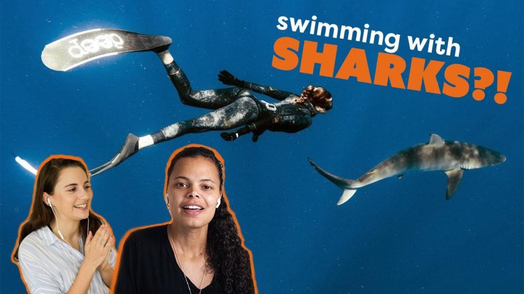 Why you NEED to go Shark Diving Why you NEED to go Shark Diving