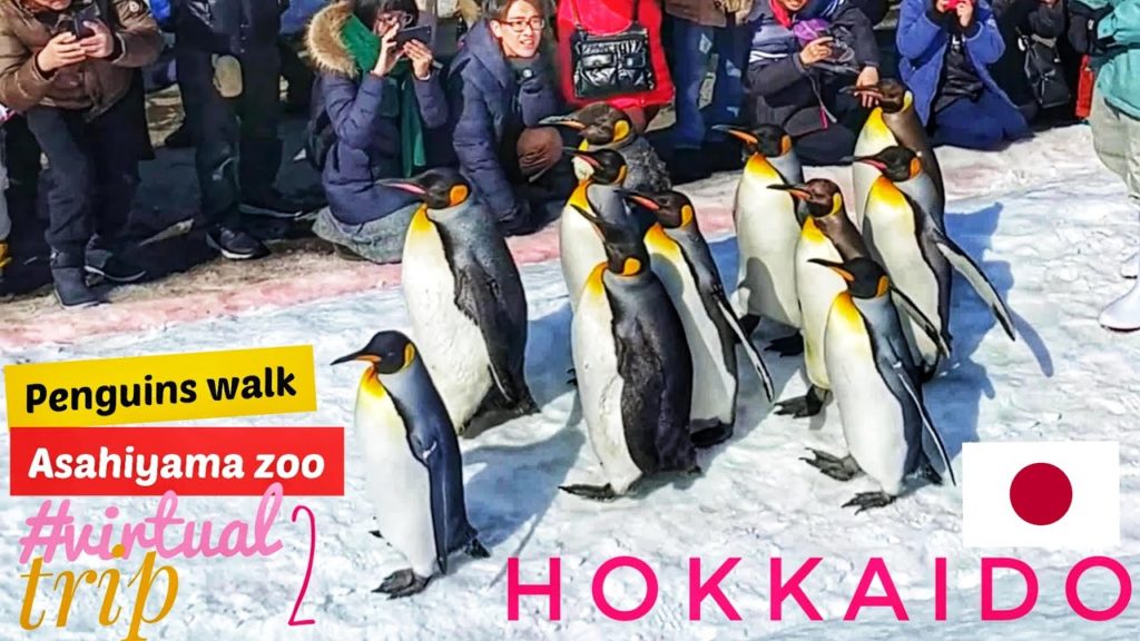 Trip Hokkaido Japan Trip Hokkaido Japan