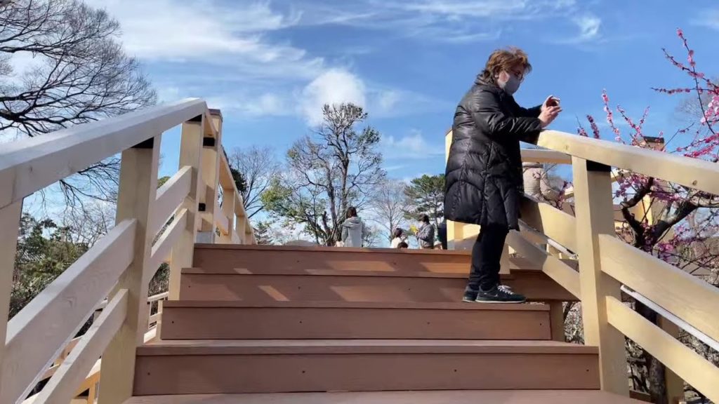 Kitano Tenmangu Shrine Plum Blossoms, Kyoto, Japan