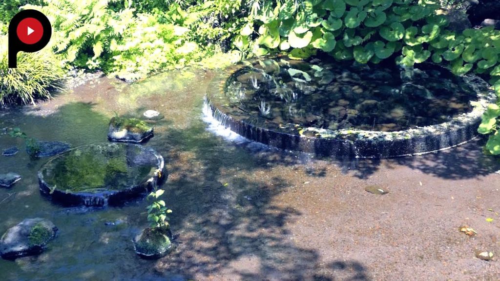 清流 柿田川 The Amazing Kakita River| Most beautiful river in Shizuoka 清流 柿田川 The Amazing Kakita River| Most beautiful river in Shizuoka