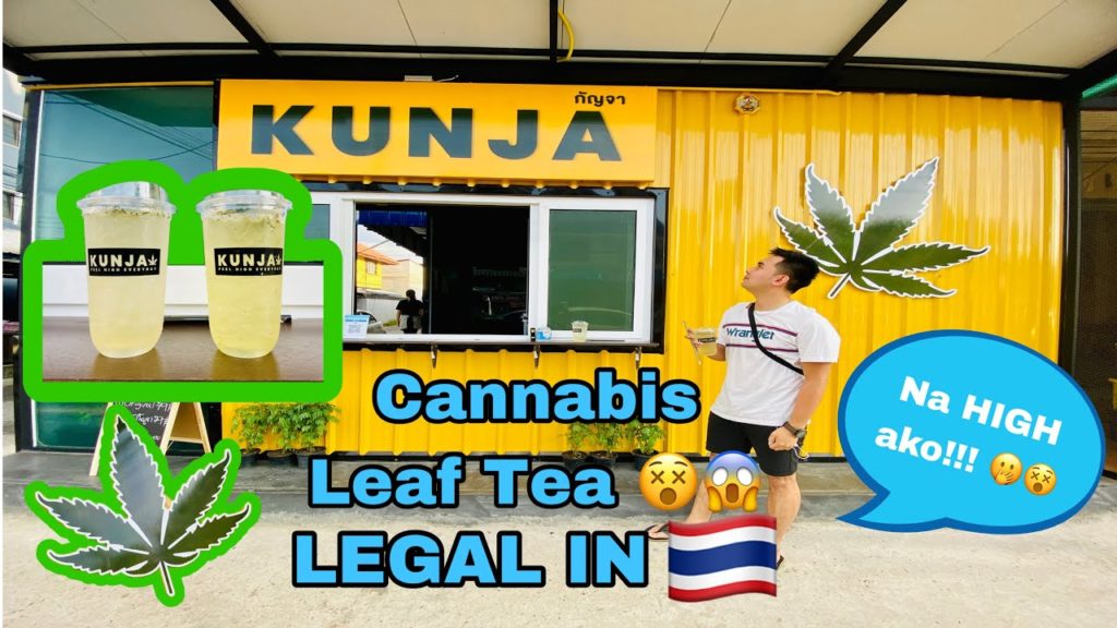 Cannabis/Marijuana Drink in Thailand KUNJA SURATTHANI "Feel High Everyday" Cannabis/Marijuana Drink in Thailand KUNJA SURATTHANI "Feel High Everyday"