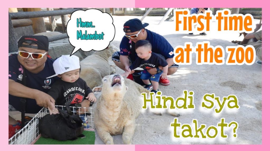 HIROSHIMA JAPAN. TOUCHING ANIMALS IN THE ZOO
