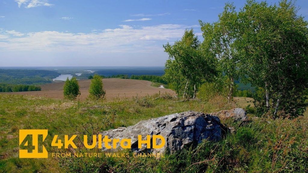 A Walk in the Hill on a Windy Day A Walk in the Hill on a Windy Day