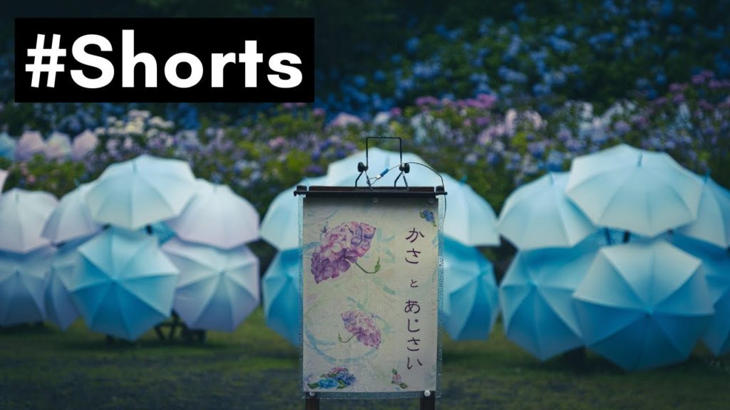 4K Walk JAPAN digest Part3 #Shorts 4K Walk JAPAN digest Part3 #Shorts