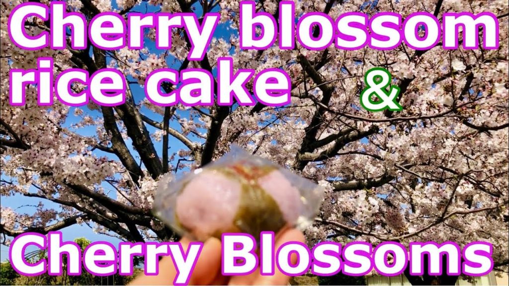 I ate Japanese sweet "Cherry blossom sweet"during the cherry blossom season. I ate Japanese sweet "Cherry blossom sweet"during the cherry blossom season.