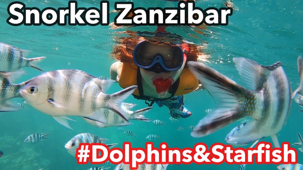 Kids Snorkel, Zanzibar Dophins. Zanzibar Starfish Tour Like a Local. [Inside Scoop]