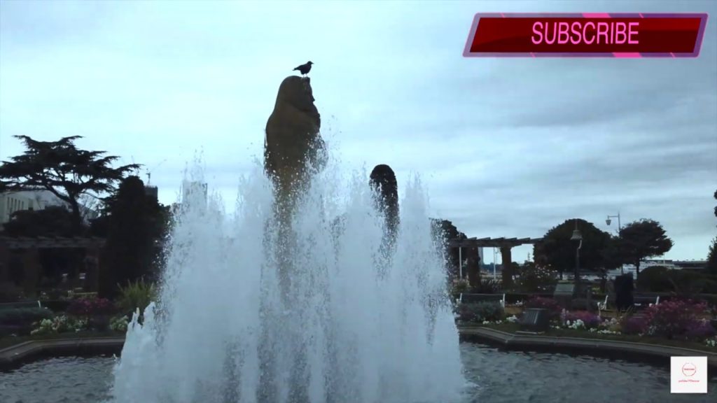 Osanbashi 大さん橋|Yokohama