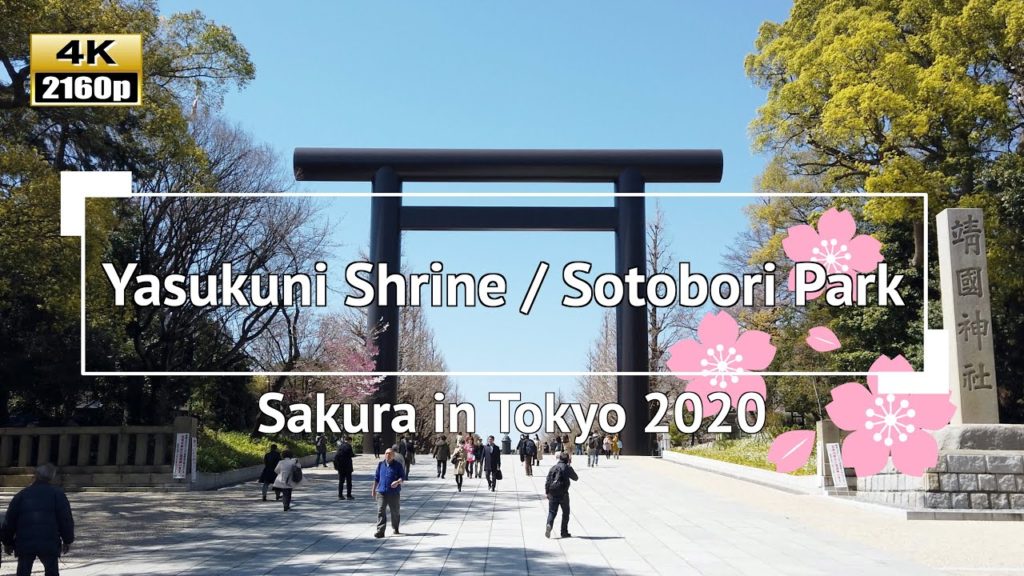 [4K] Japan - Sakura (Cherry Blossoms) in Tokyo 2020: Yasukuni Shrine & Sotobori Park