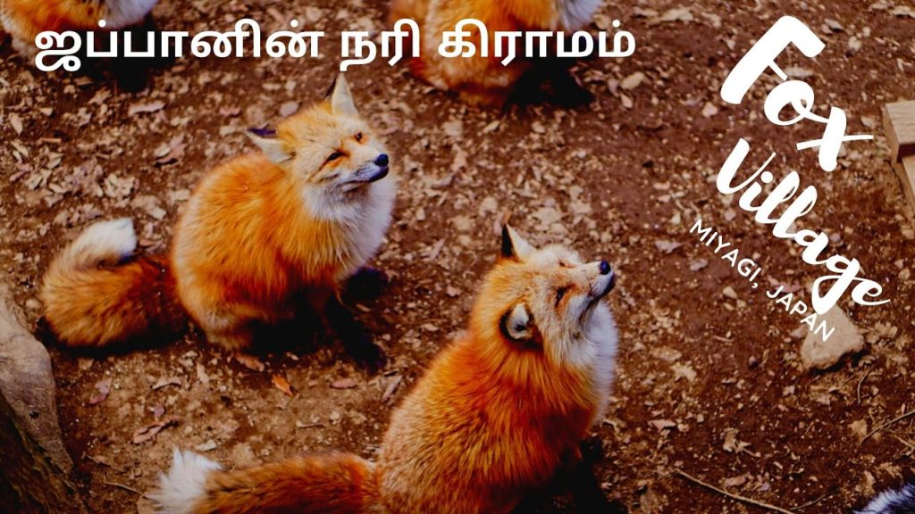 ஜப்பானின் நரி கிராமம் | Fox Village in Japan | Miyagi Zao, Shiroishi | Tamil Travel Vlogs