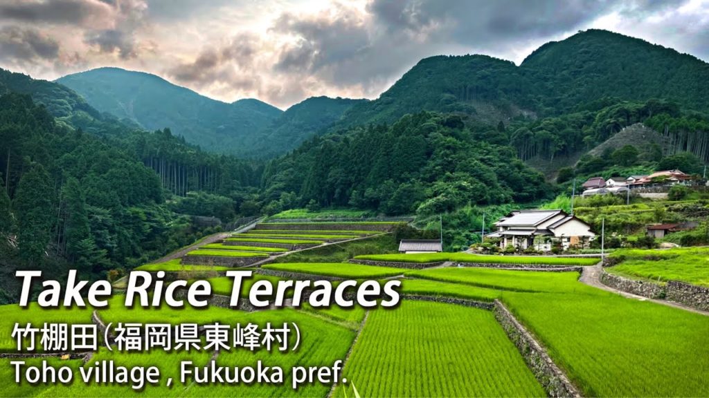 【路上観察】竹棚田から岩屋の祠まで歩く。（福岡県東峰村）#散歩 #shrine #walk