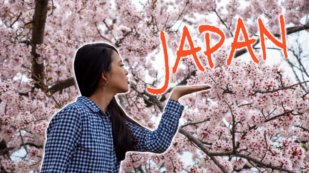 You don't know this side of Japan | Travelling rural Japan 4K | The best way to travel Japan