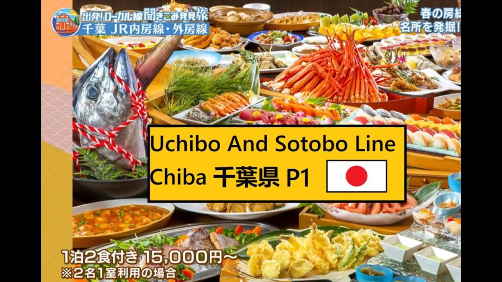 Japan Trip On Uchibo And Sotobo Line - Chiba 千葉県 Part 1#10