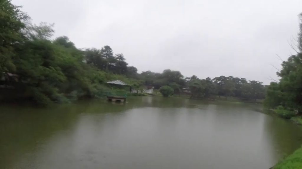 LIVE Rain Japan 2021.07.08 Cycling around Omiya Saitama after work. LIVE Rain Japan 2021.07.08 Cycling around Omiya Saitama after work.