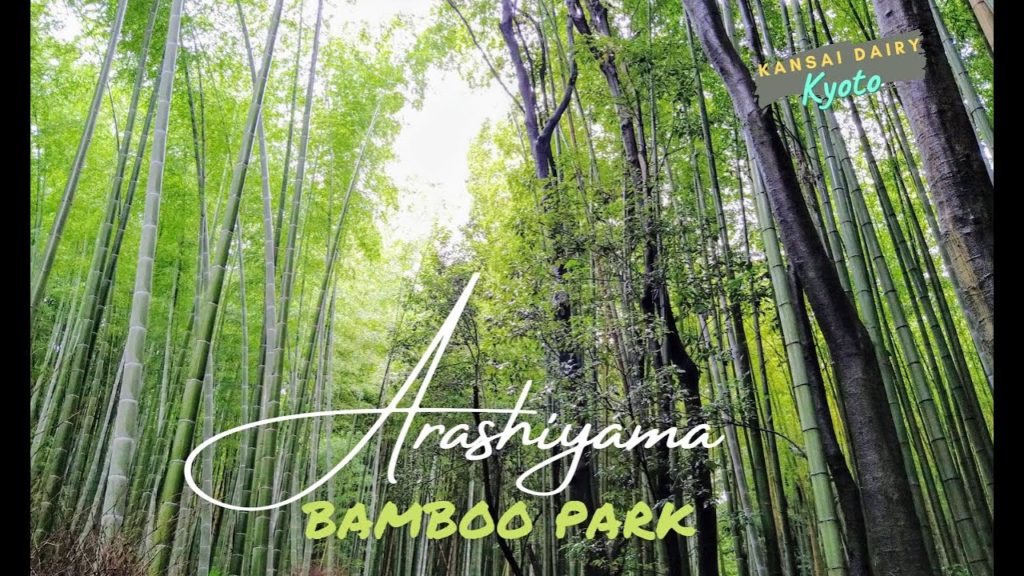 Rainy Weekend Getaway in Kyoto | I am me Hanna Vi