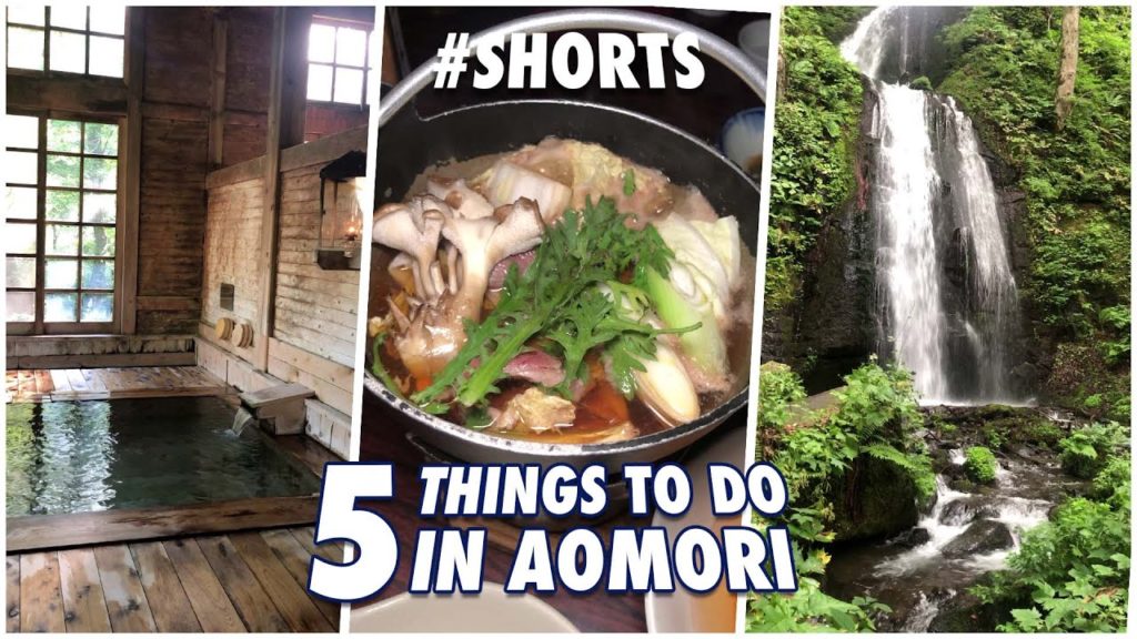 What To Do in Aomori Japan | Travel #Shorts What To Do in Aomori Japan | Travel #Shorts
