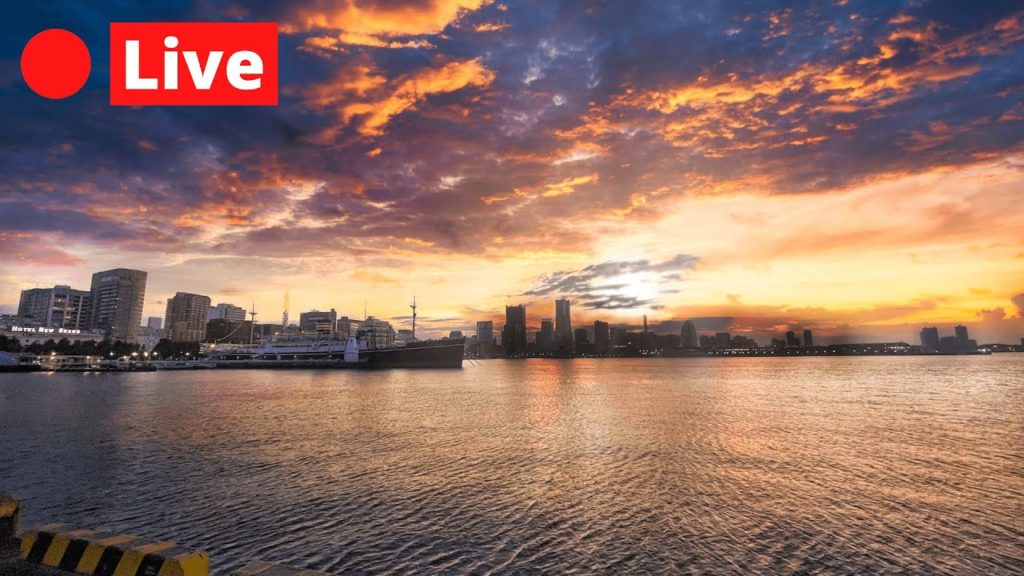 JAPAN LIVE - Yokohama Chinatown