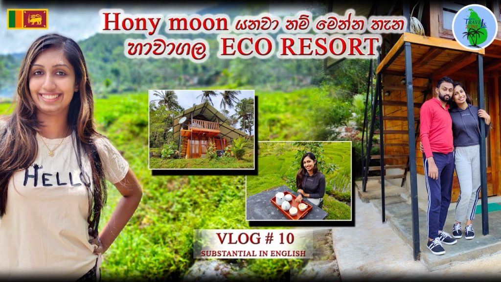 හාවාගල Eco Resort | TRAVEL ZONELK | VLOG # 10 | English subtitles