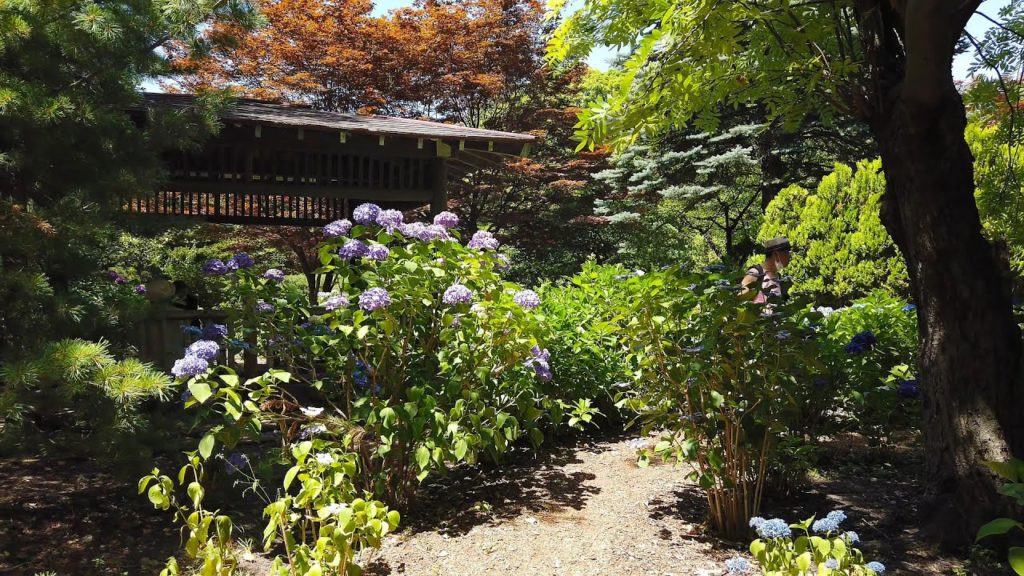 【4K】2021 日本 北海道 札幌市 豊平区 豊平公園の散策【Binaural Audio】