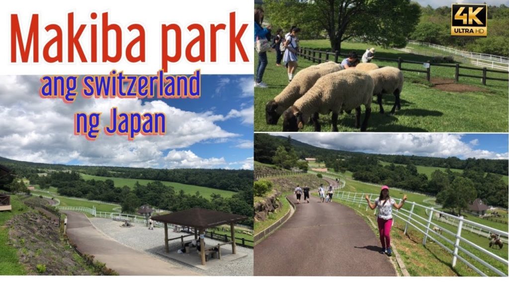 MT Fuji : Yamanashi Prefectural Makiba Park | Yamanashi Japan