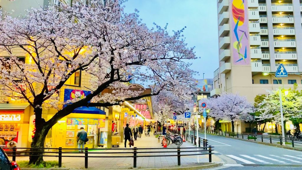 [4K] Japan Walking Tour - Night Cherry Blossom at Fujigaoka Station, Nagoya