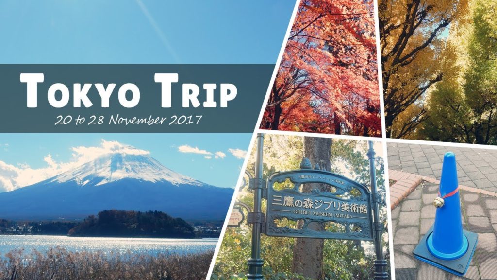 Tokyo Trip | Travel | Vlog | Travel Itinerary | Slide Show