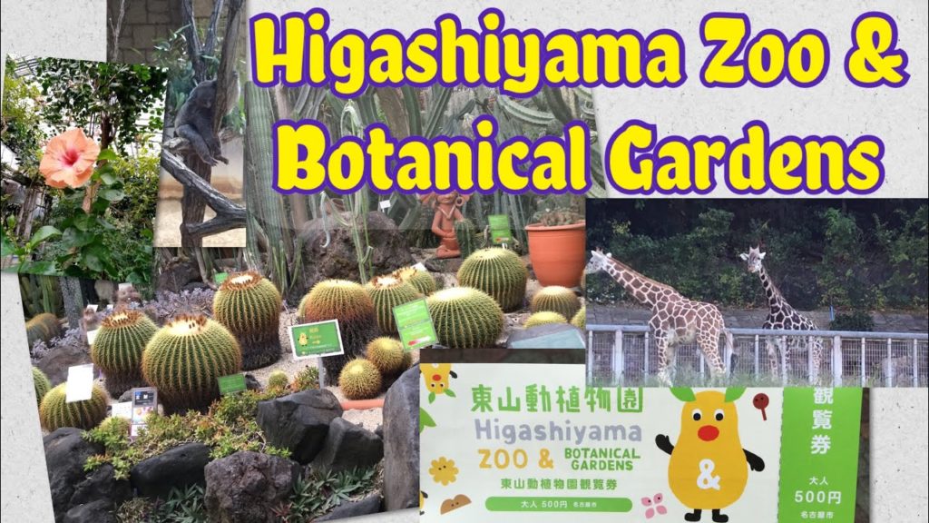 Higashiyama Zoo & Botanical Gardens | Nagoya Aichi Japan 2020