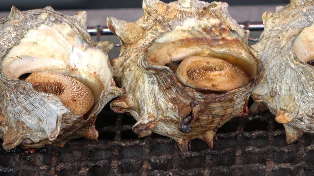 Turban Shell-Japanese street food