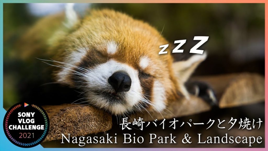 Sony Vlog Challenge | Japan | Nagasaki Bio Park, Drone, and Sunset.  | 【日帰り旅行】長崎バイオパークとドローンと夕焼け Sony Vlog Challenge | Japan | Nagasaki Bio Park, Drone, and Sunset.  | 【日帰り旅行】長崎バイオパークとドローンと夕焼け