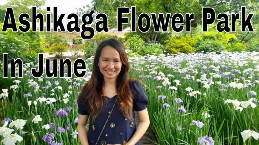 Ashikaga Flower Park in June