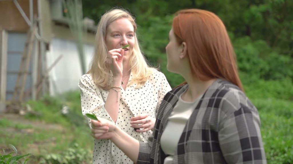 Shizuoka Tea with...